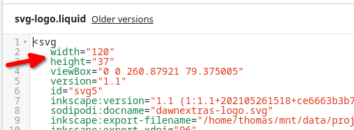 SVG snippet height and width attributes